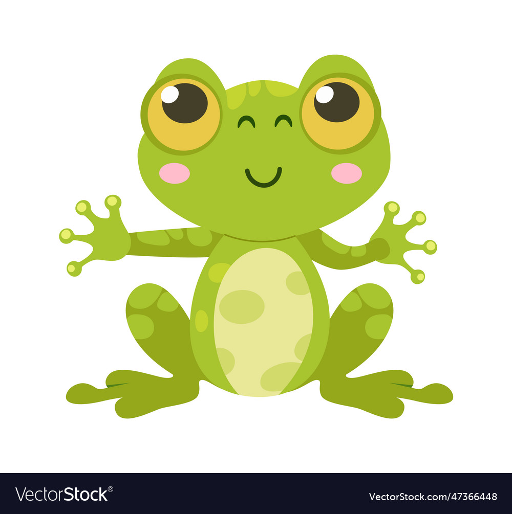 Sitting Frog Amphibian Royalty Free Vector Image