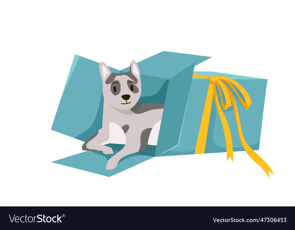 Cartoon isolated surprise present with doggy