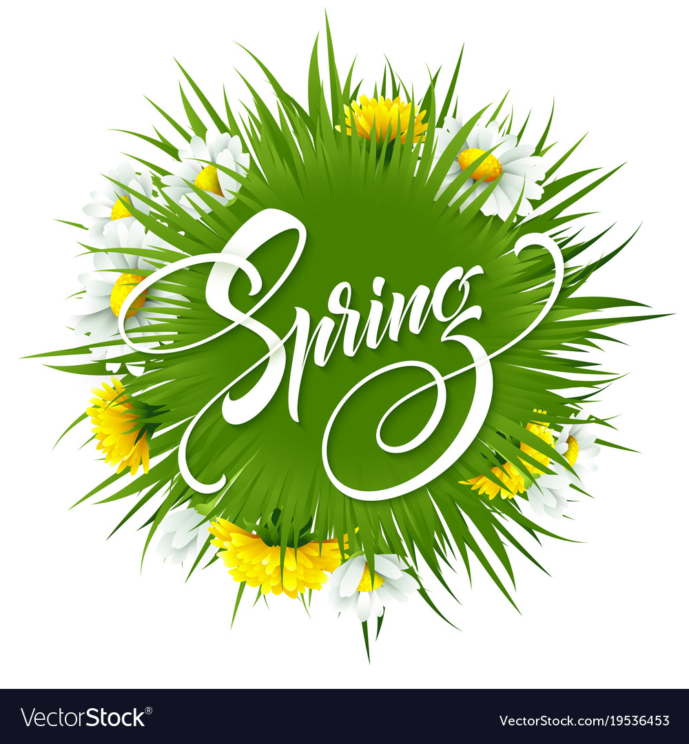 Inscription hello spring on background Royalty Free Vector