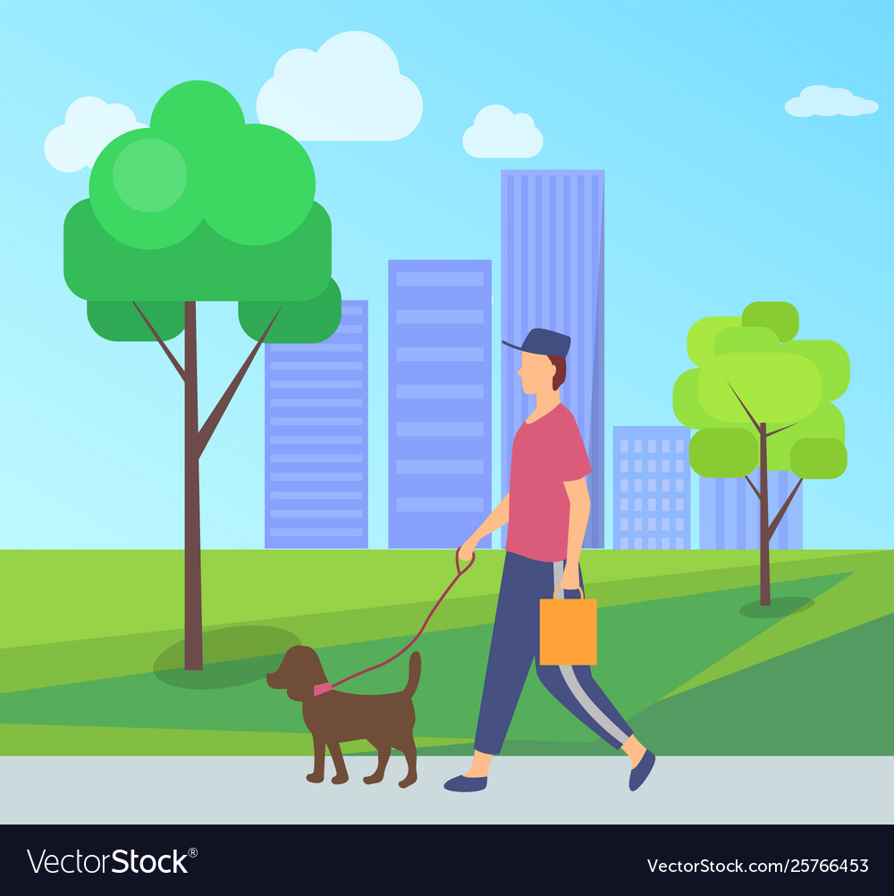 Person going with dog character with pet Vector Image