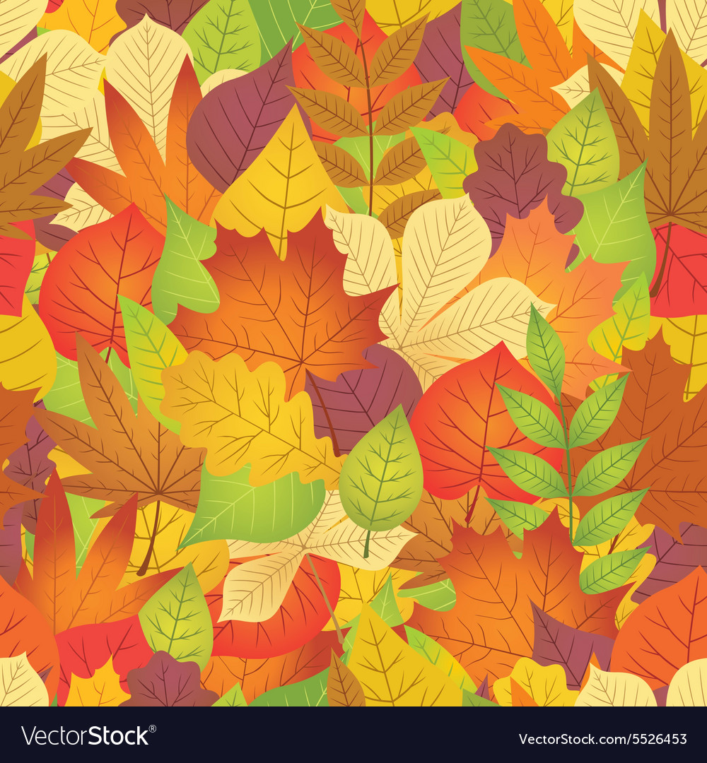 Seamless with autumn leaves on white background Vector Image