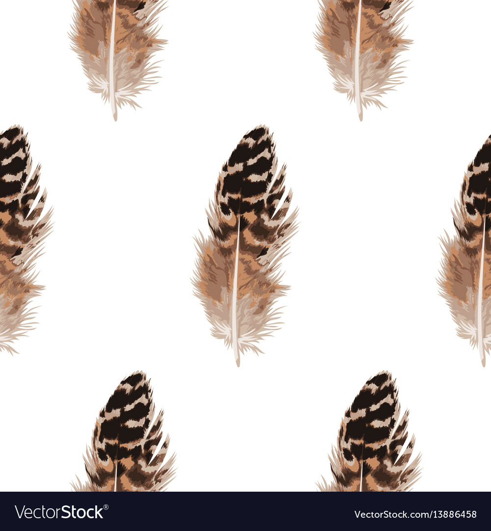 Feather seamless pattern
