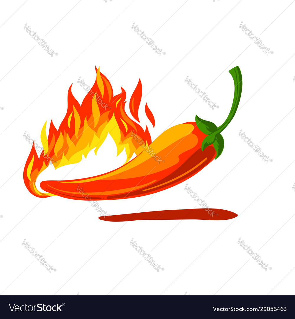 Floating chili on white background with blaze Vector Image