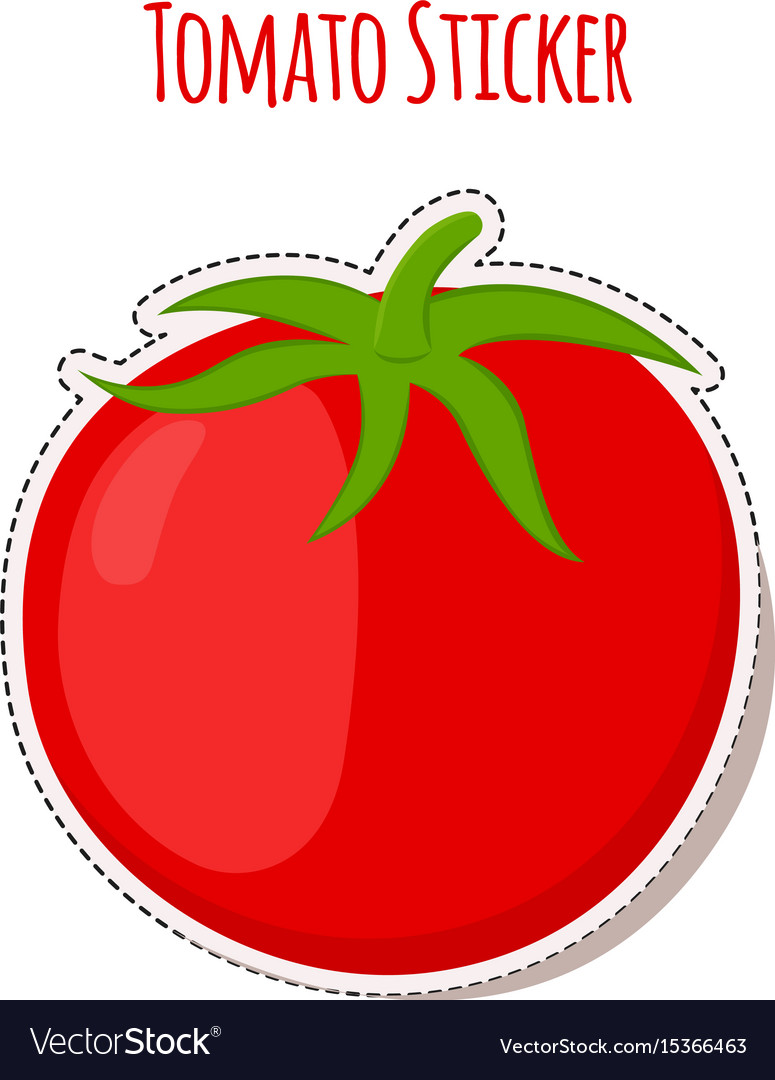 Tomato sticker made in cartoon flat style Vector Image