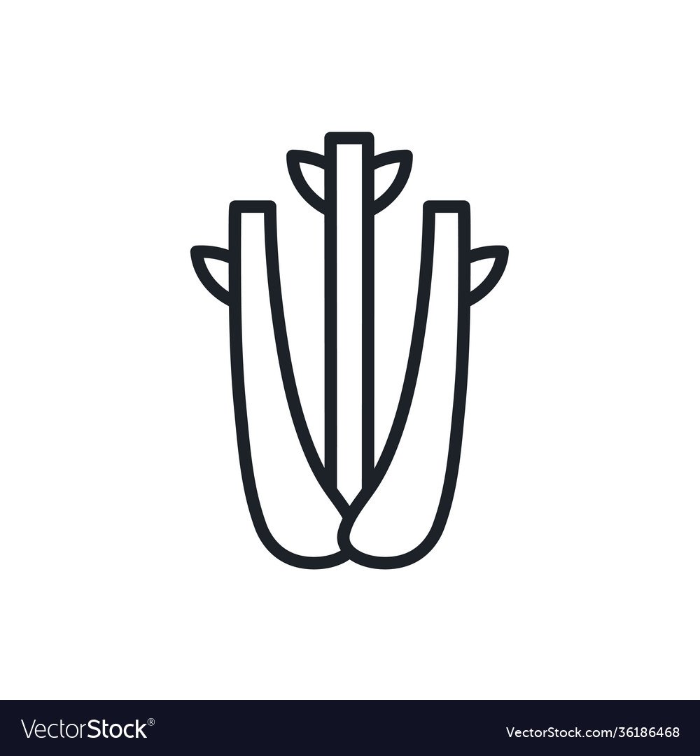 Celery icon linear contour shape