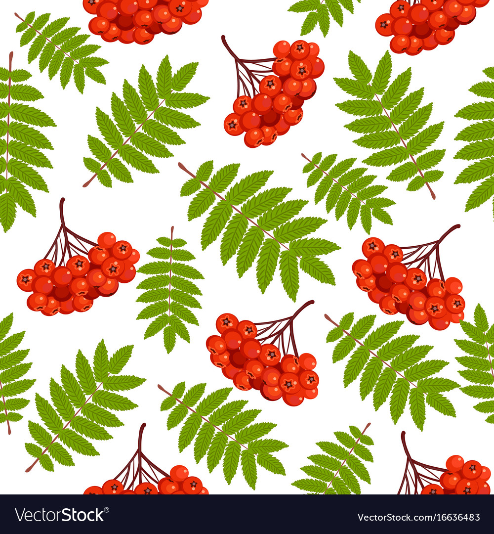 Beautiful seamless pattern with rowan