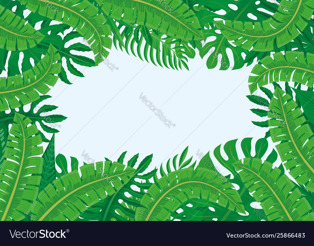 Frame tropical leaves Royalty Free Vector Image