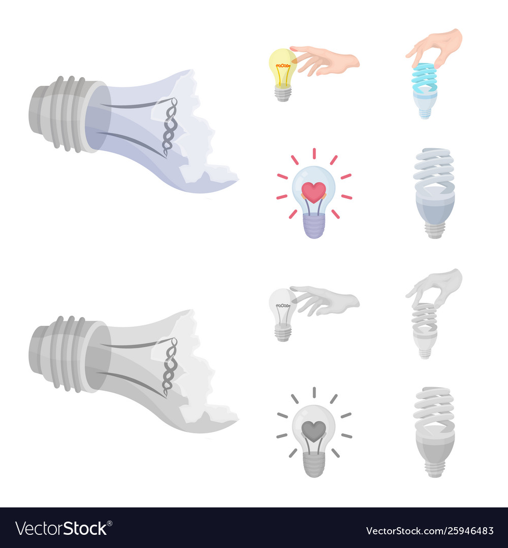 Isolated object lightbulb and ecolam logo