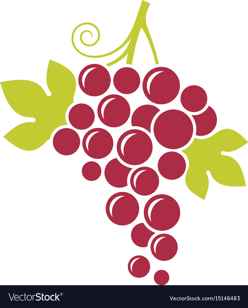 Red grapes Royalty Free Vector Image - VectorStock