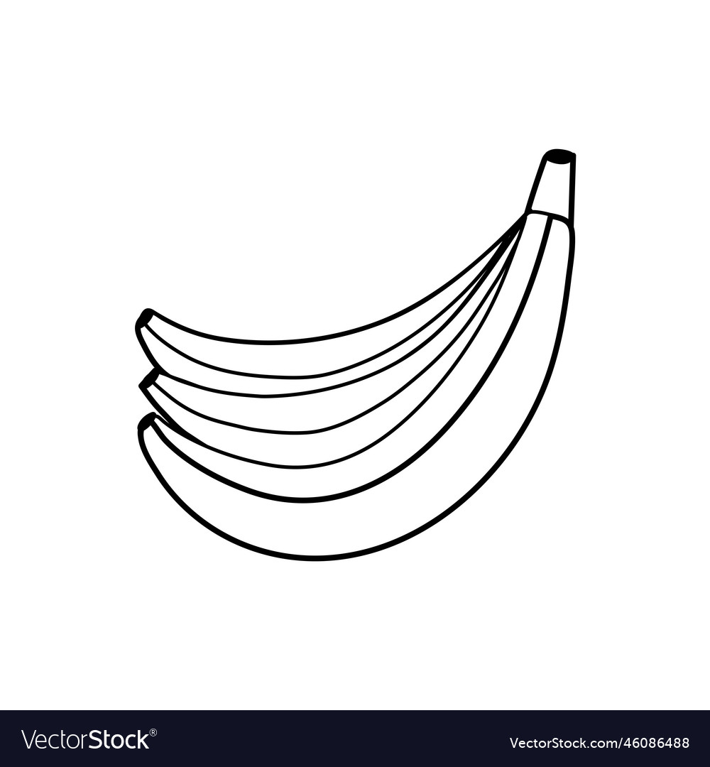 Black and white banana isolated on white Vector Image