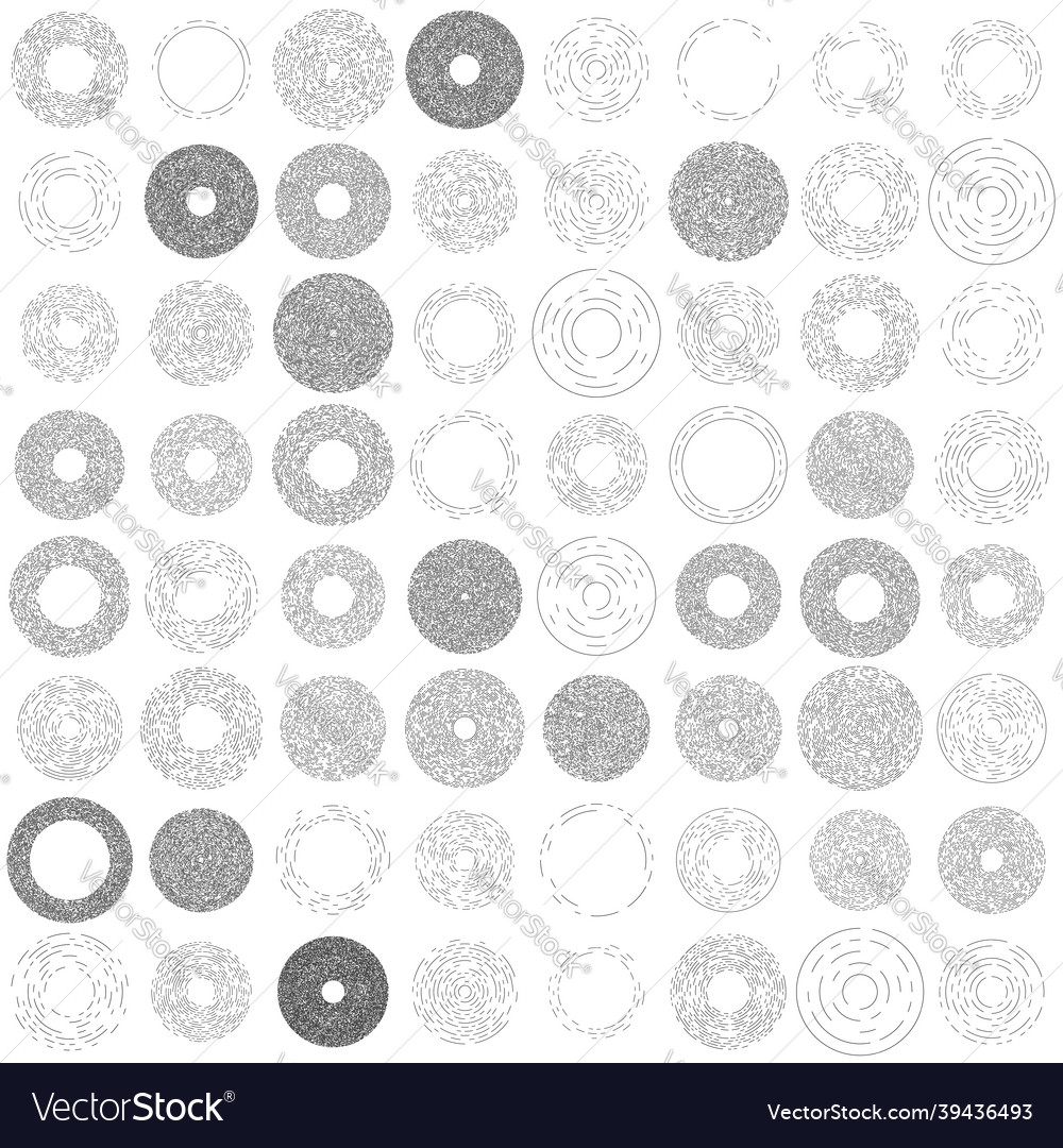 Circular concentric segmented circles radial Vector Image Circular concentric segmented circles radial