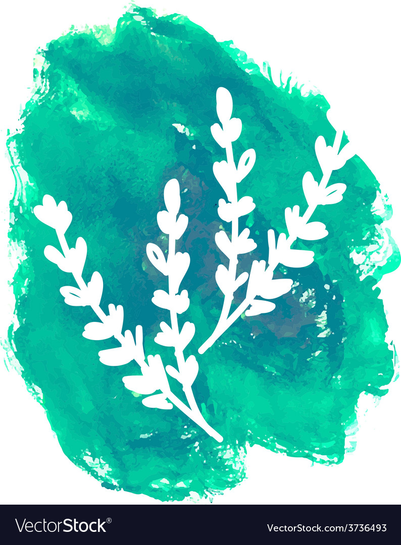Hand drawn flower on watercolor background