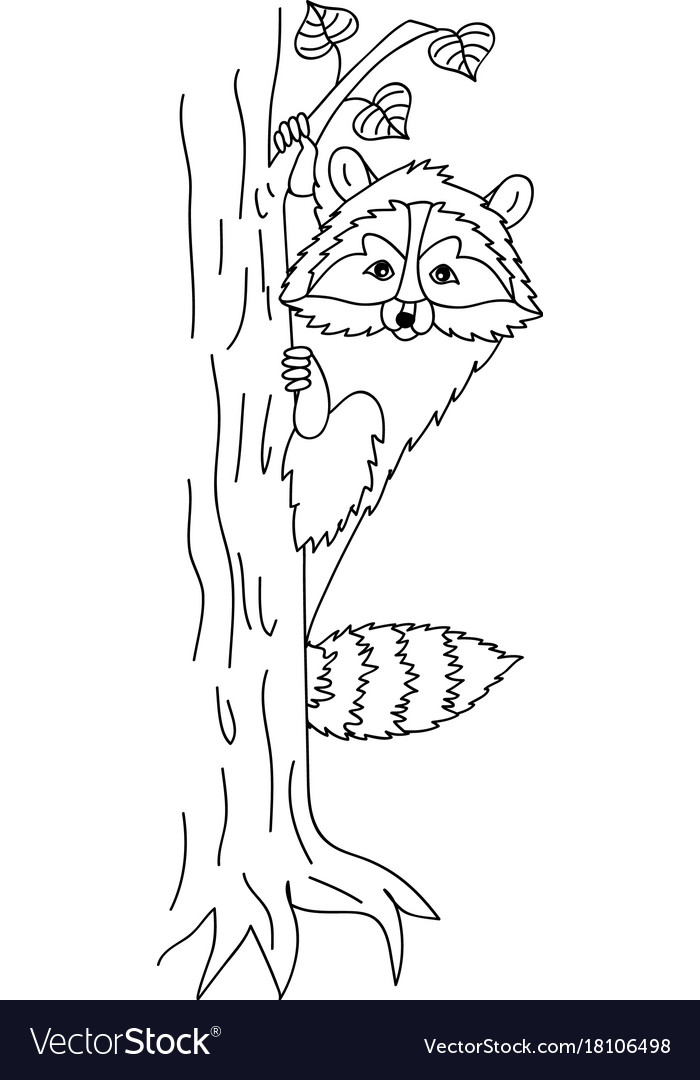Cute raccoon sitting on tree coon clipart