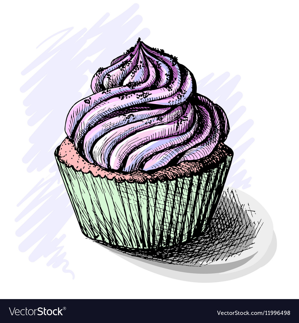 Delicious Cupcake Sketch