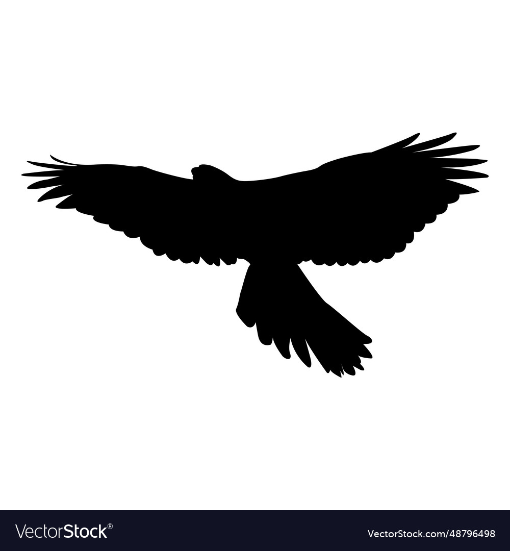 Eagle ascending silhouette Royalty Free Vector Image