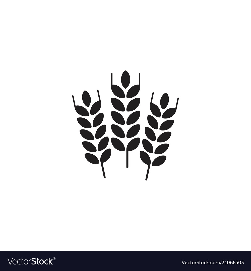 Agriculture wheat