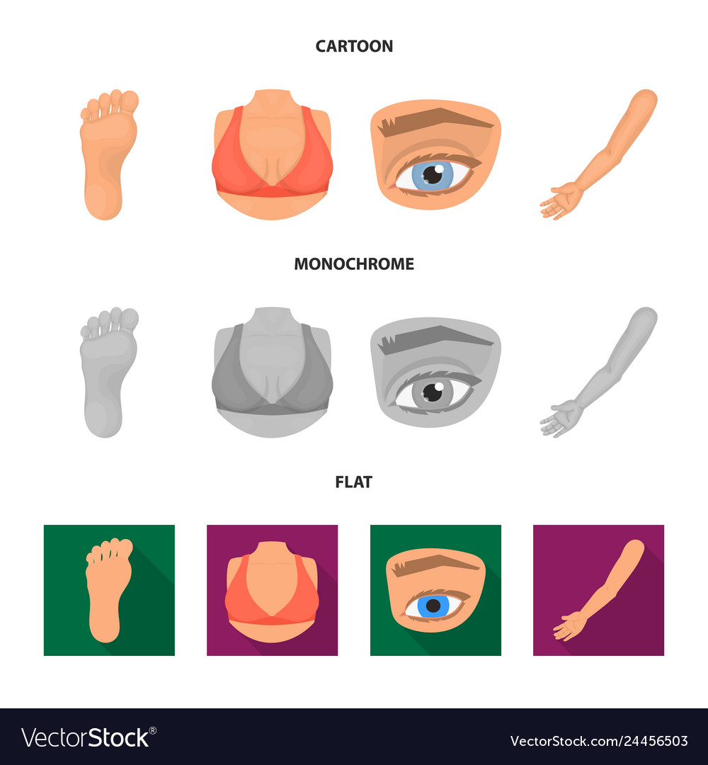 Isolated object of body and part icon set vector image Isolated object of body and part icon set