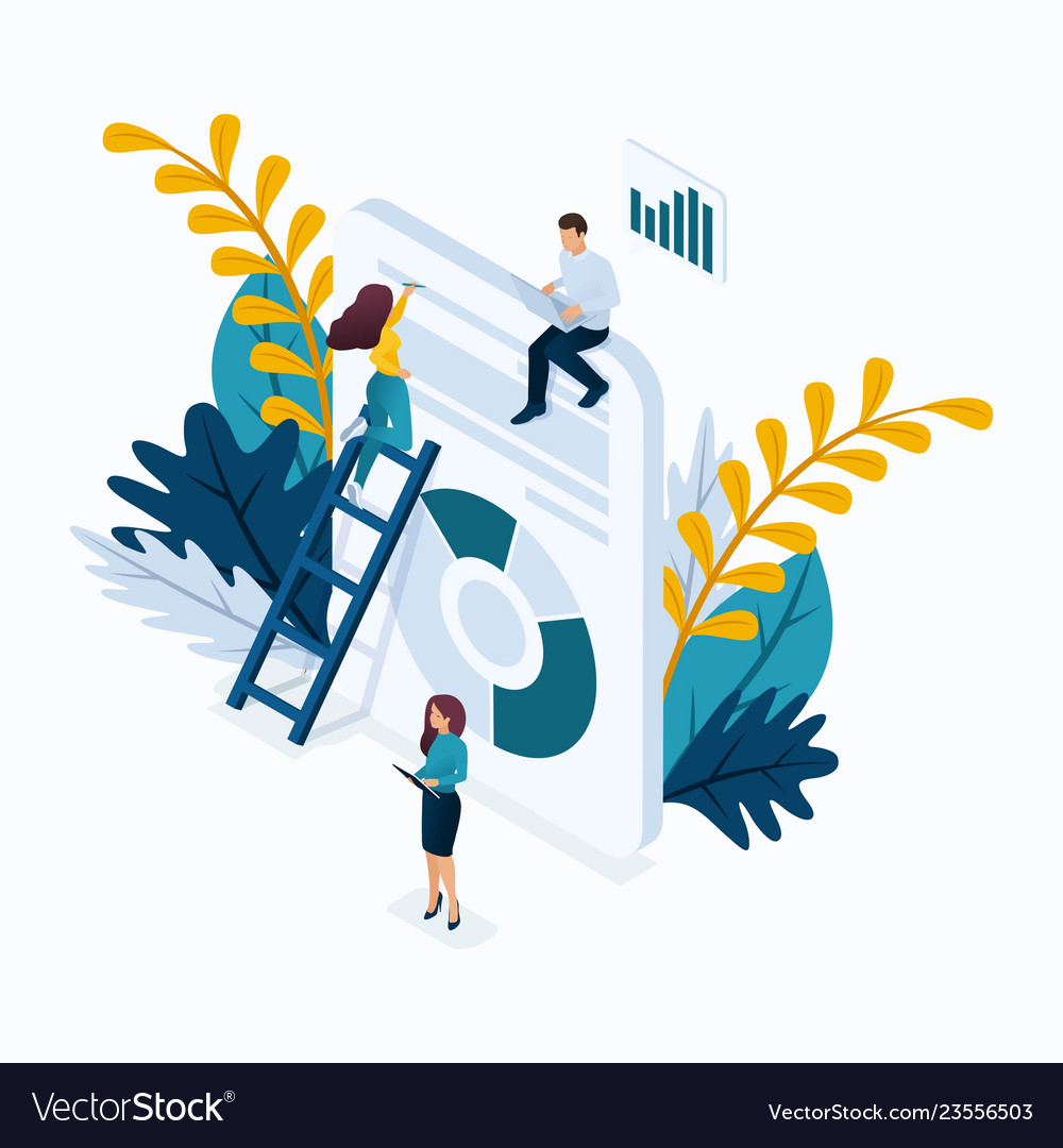 Isometric data verification for analysis