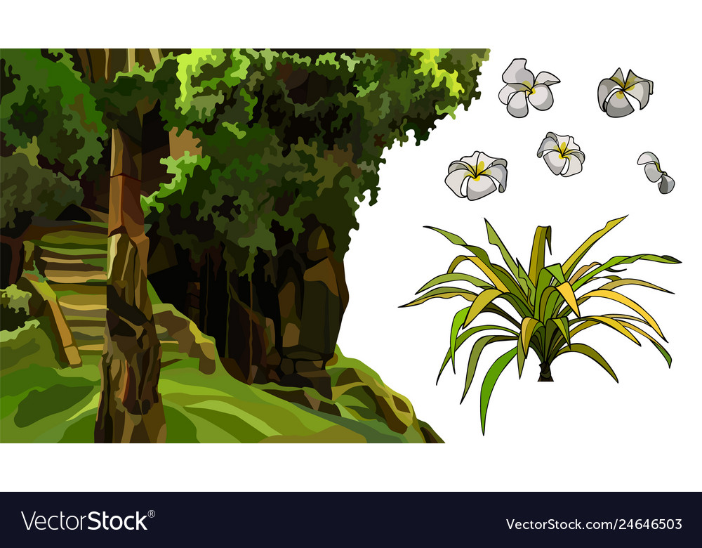 Set of elements overgrown with stone structure
