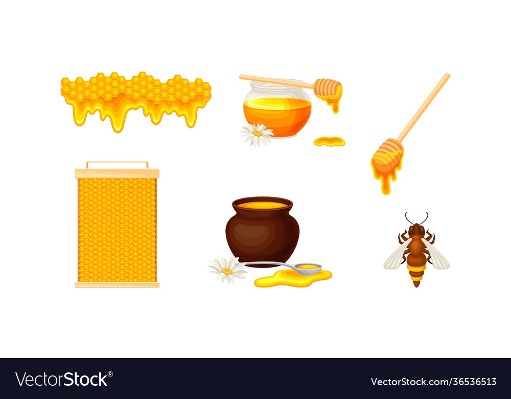 Honey omb with hexagonal wax cells and glass jar