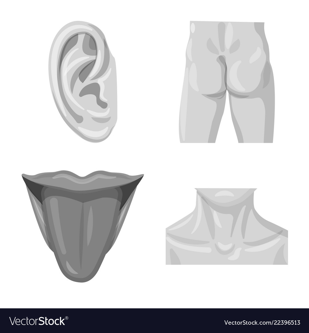 Isolated object of human and part icon collection vector image Isolated object of human and part icon collection