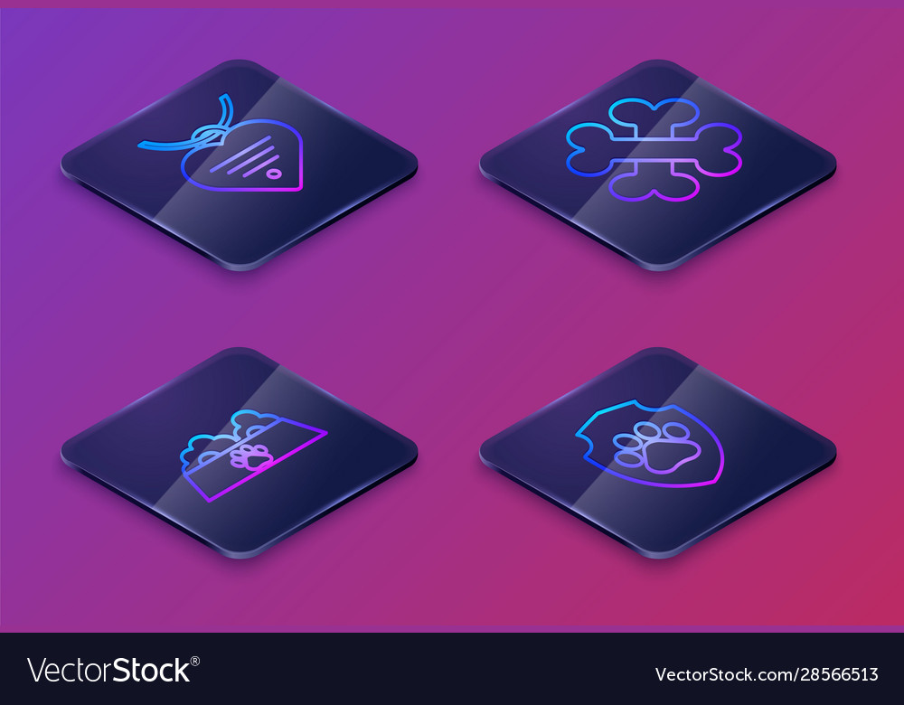 Set isometric line collar with name tag and heart