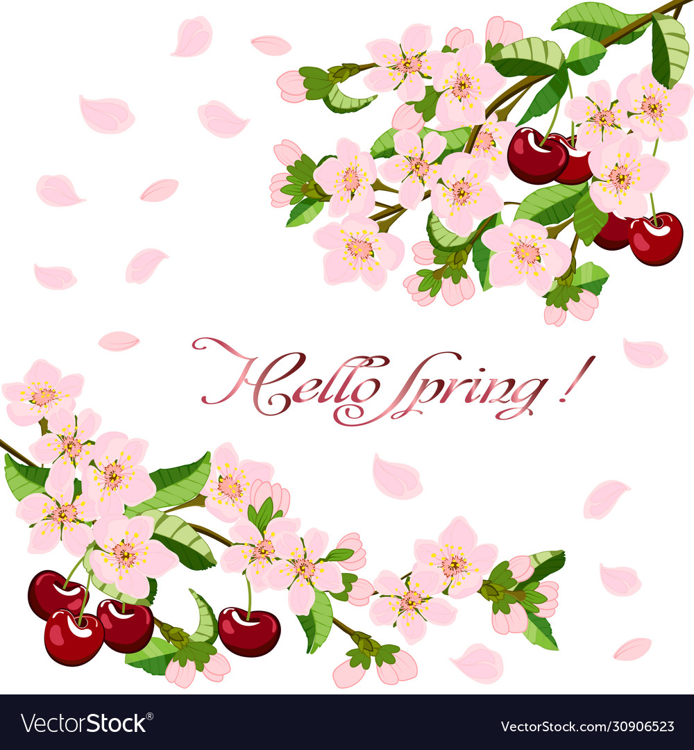 Cherry branches in a card with text