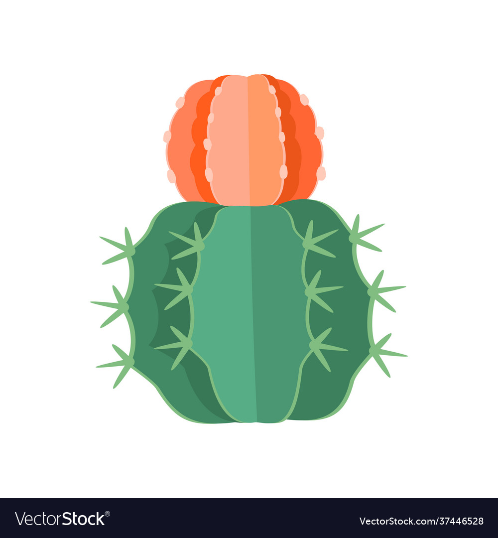 Cactus and succulent colorful cartoon