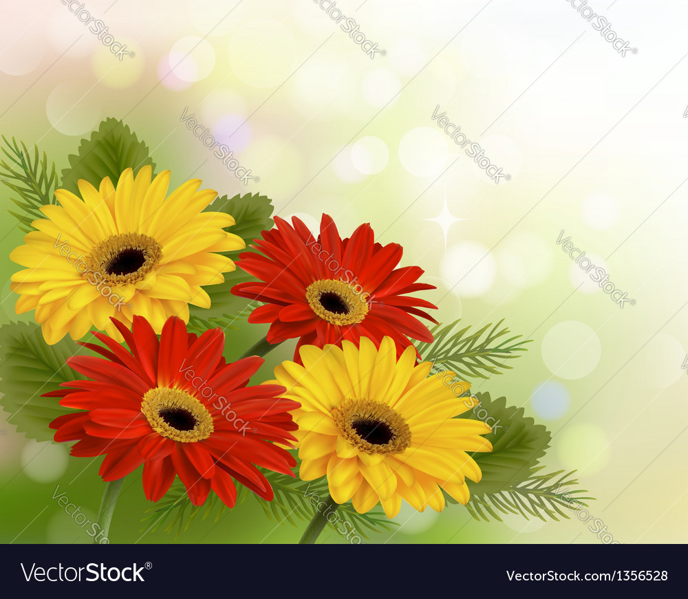 Nature background with colorful beautiful flowers Vector Image