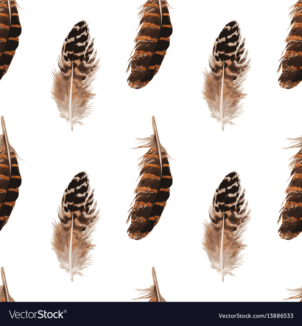 Feather seamless pattern