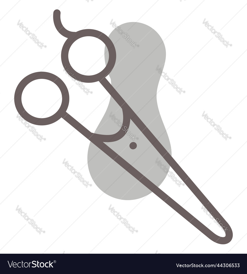 Hair scissors on a white background