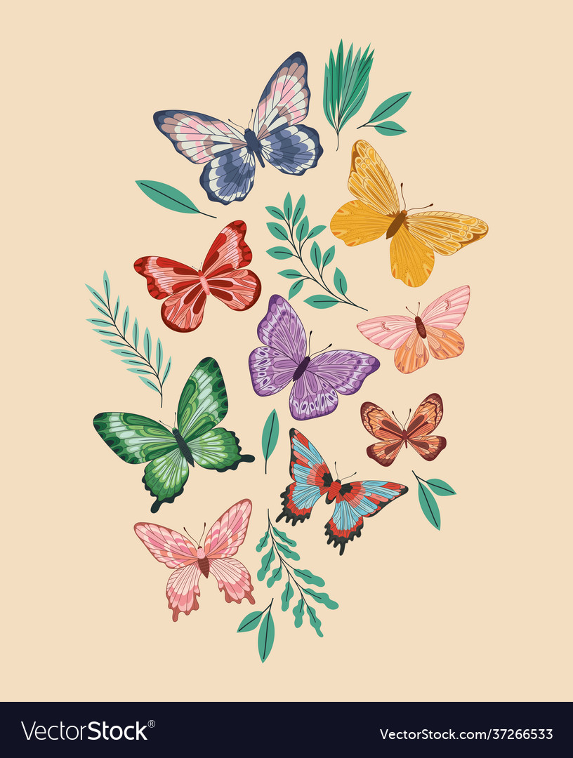 Plants and butterflies