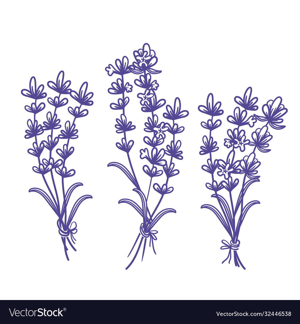 Set template design beautiful abstract