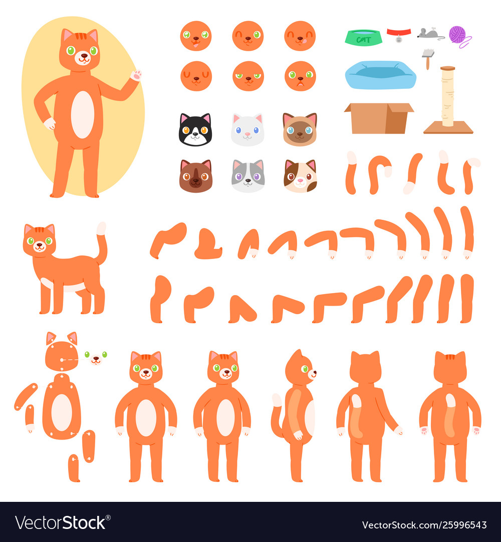 Cat constructor animal character creation Vector Image