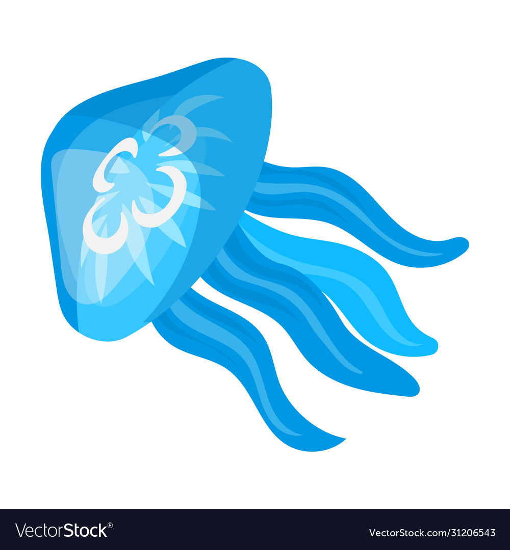 Jellyfish iconcartoon icon isolated