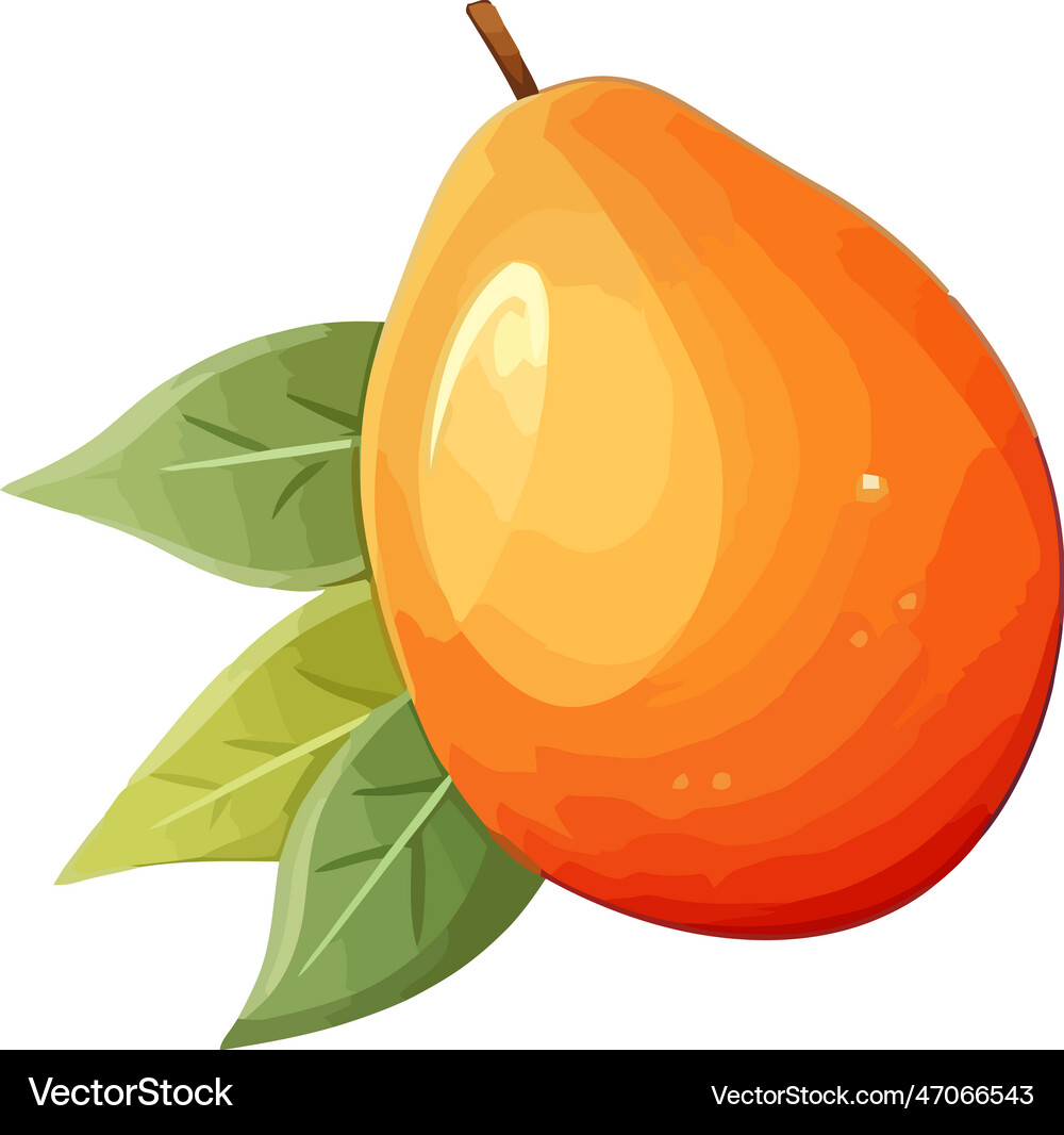 Ripe mango fruit on leaf Royalty Free Vector Image
