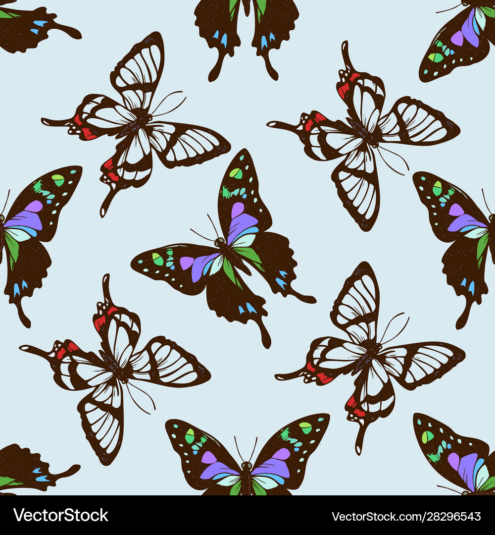Seamless pattern with hand drawn colored Vector Image
