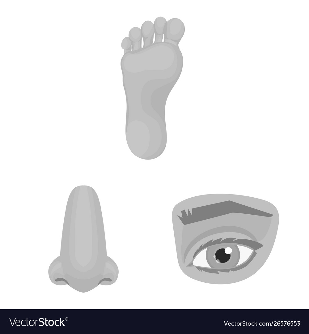 Body and part icon set