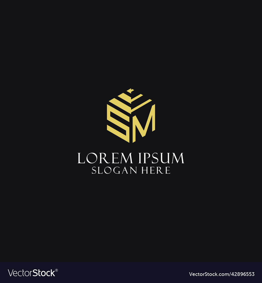 Sm initial monogram with hexagon shape logo