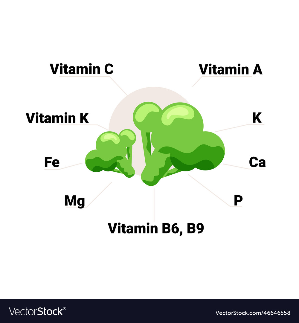 Broccoli with vitamins and minerals Royalty Free Vector