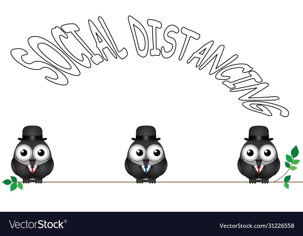 Comical bird social distancing vector image Comical bird social distancing