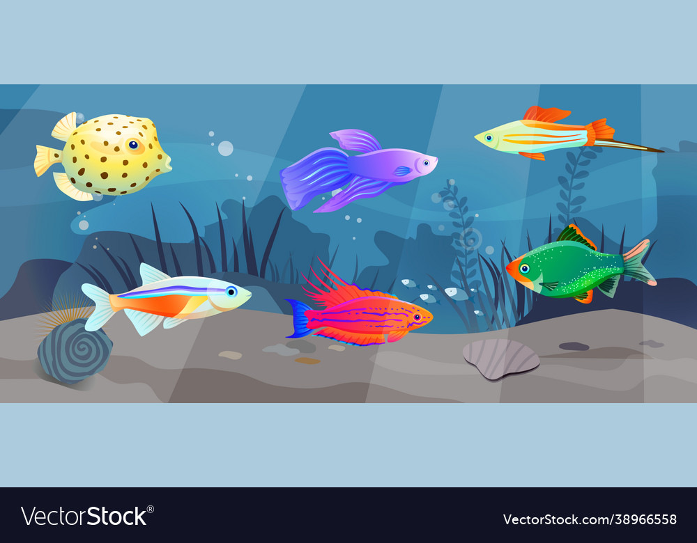 Tropical fish floating on seabed ocean bottom Vector Image