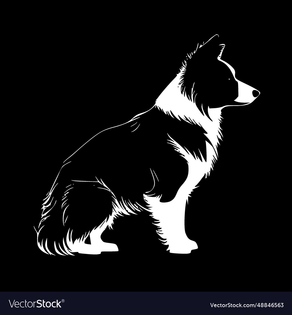 Border collie - minimalist and simple silhouette