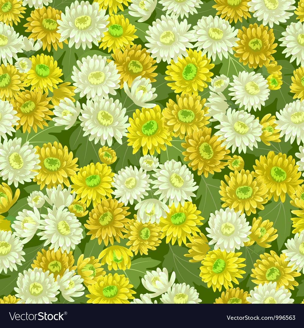Seamless yellow white chrysanthemum backgrounds Vector Image