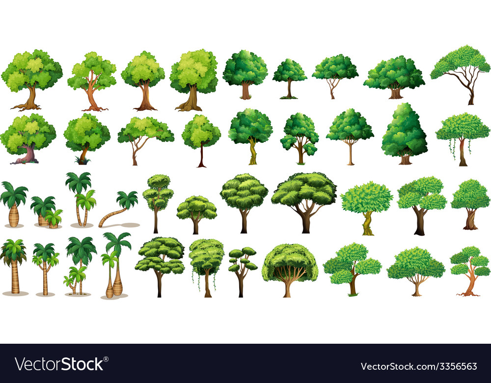 Tree Set Royalty Free Vector Image Vectorstock Tree Set Royalty Free Vector Image Vectorstock