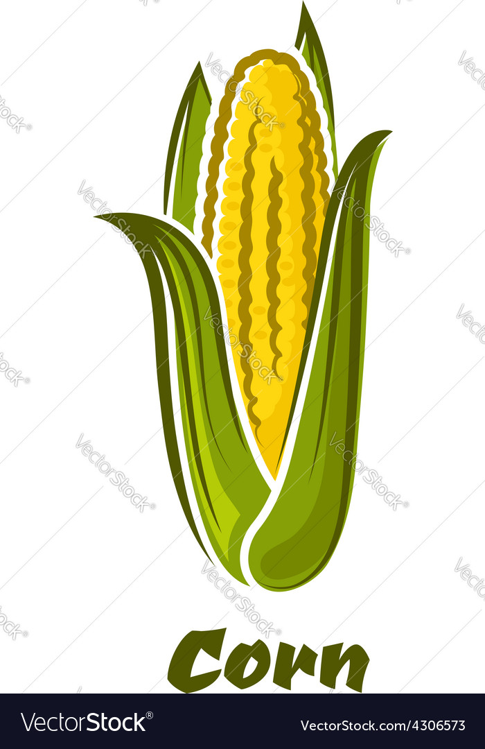 Cartoon yellow corn vegetable on the cob Vector Image