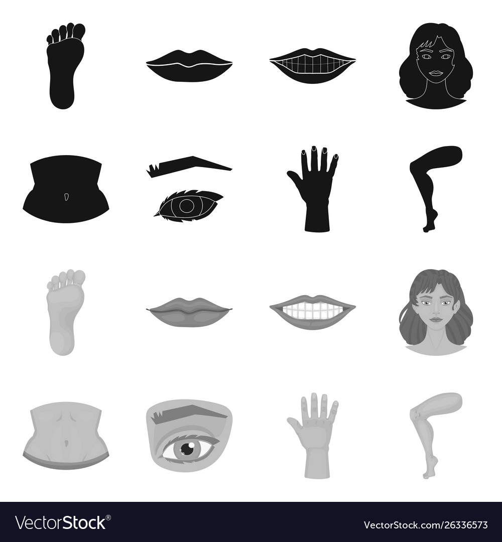 Design body and part symbol collection vector image Design body and part symbol collection