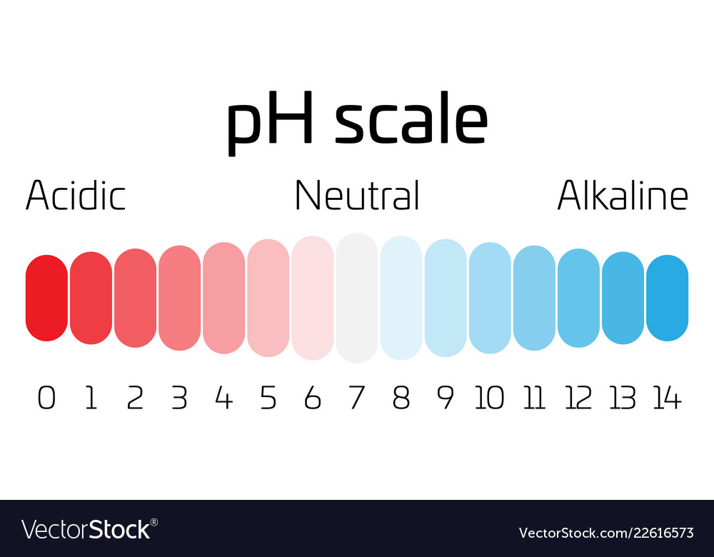 Ph scale indicator ph value expressing rate of Vector Image