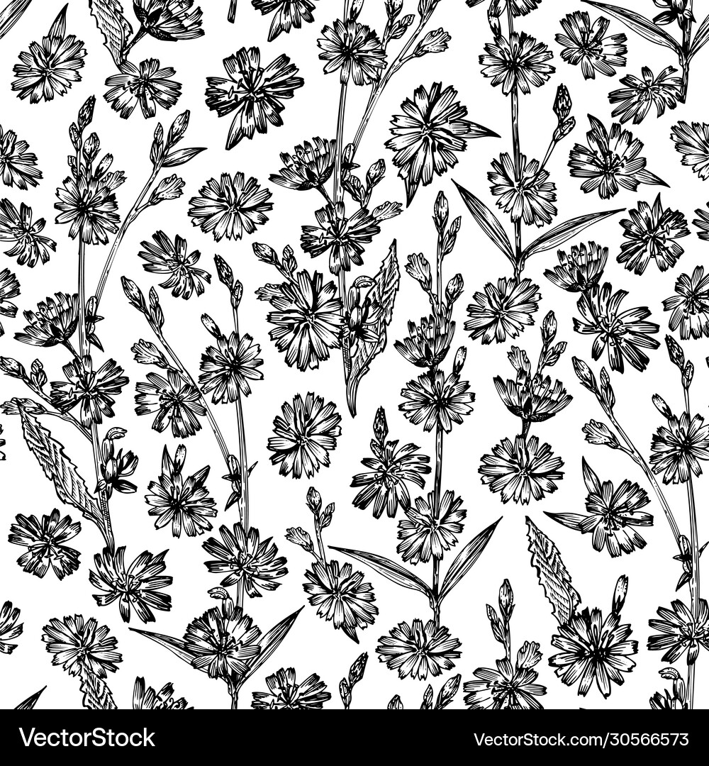 Seamless pattern with realistic botanical black Vector Image