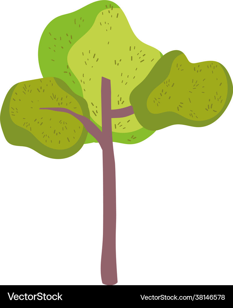 Tree forest nature Royalty Free Vector Image - VectorStock